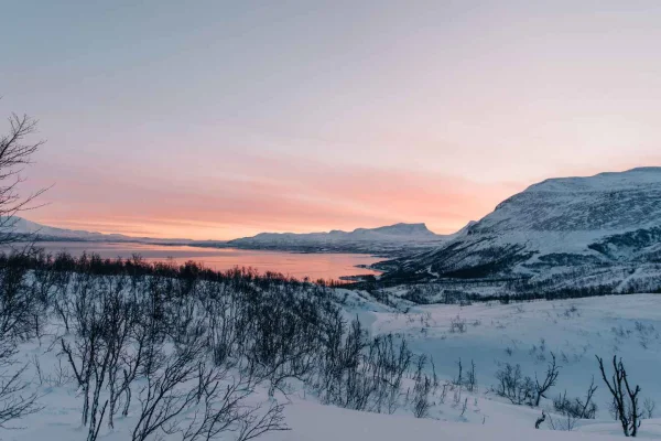 Från Abisko: Rundtur i Abisko och Björkliden med lunch
