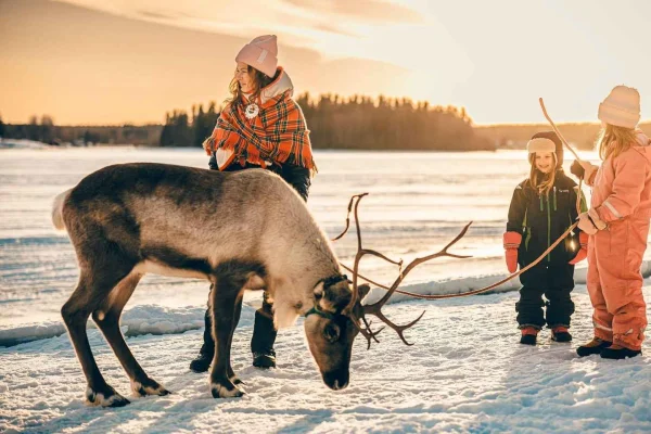 Luleå: Samisk kultur och renvinterupplevelse