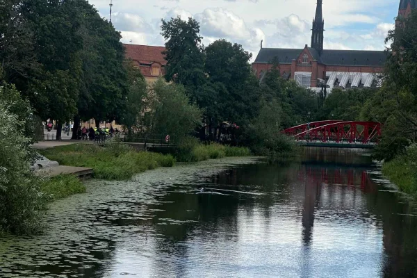 Uppsala: Kajak- eller kanotupplevelse