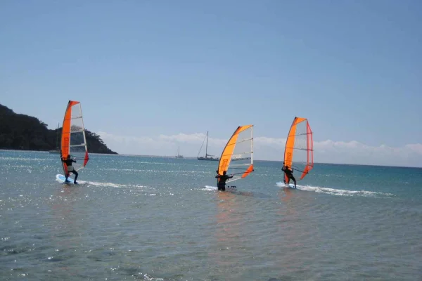 Malmö: Nybörjarkurs Dynamic Windsurfing