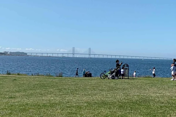 Malmö: 3-timmars guidad promenad