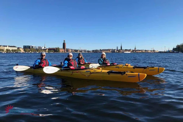 Stockholm: Vinterstadspaddlingstur