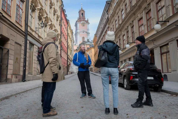 Stockholm: Lyxig måste-göra-tur: Gamla stan, slottet och stadshuset