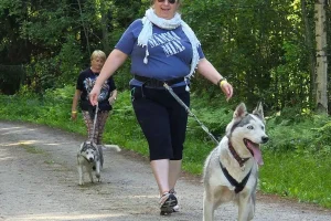 Hudiksvall: vandring med huskies och lägereld i indiantipi