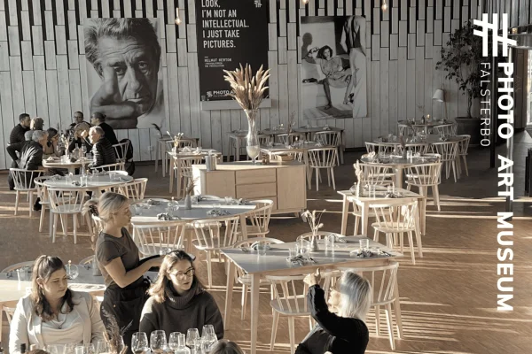 Falsterbo: Fotokonstmuseum Inträdesbiljett