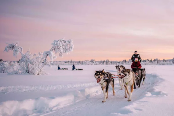 Kiruna: Husky hundsläde borta från folkmassorna