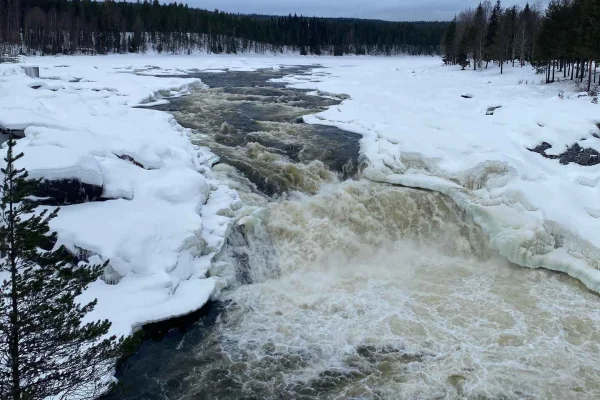 Överkalix – Lappland: Dagstur till polcirkeln och vattenfall