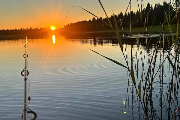 Skellefteå: Guidad fisketur med utomhusmåltid