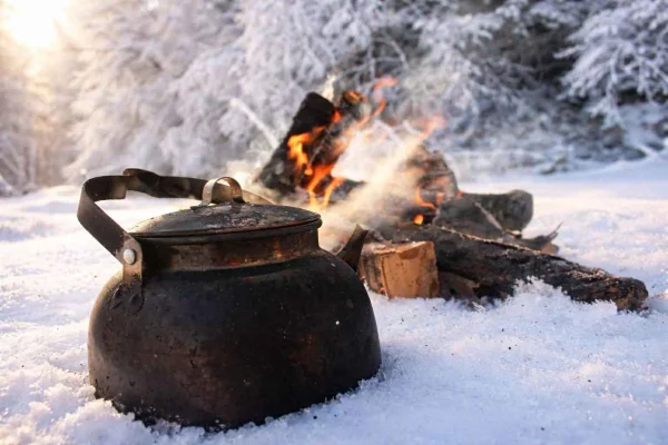 Äventyrstur med snöskoter i den arktiska vildmarken i Skellefteå