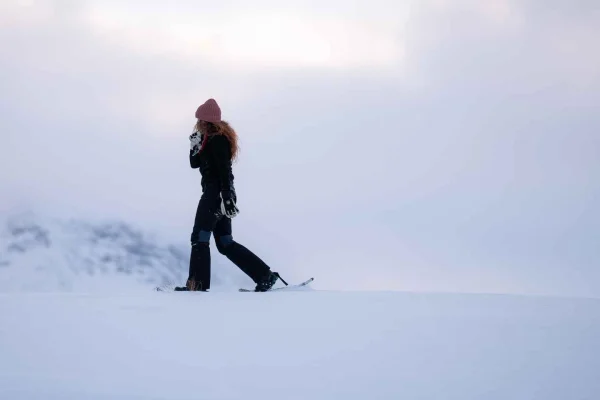 Abisko: Guidad arktisk vandring med snöskor, foton och tilltugg