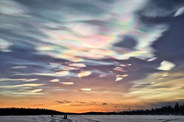 Kiruna: Arktisk hundspannstur på kvällen med svensk fika
