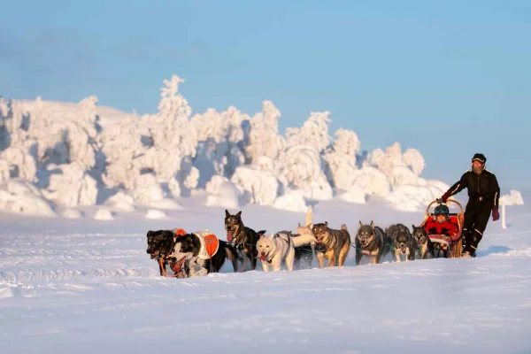 Bakvattnet: Husky-exklusivtur Ansättenfjäll