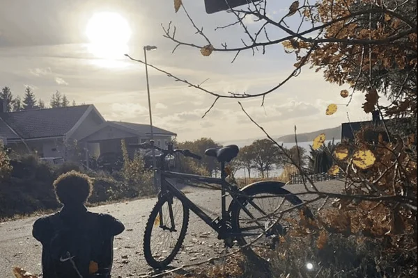 Göteborg: Privat cykeltur i Alingsås med lunch
