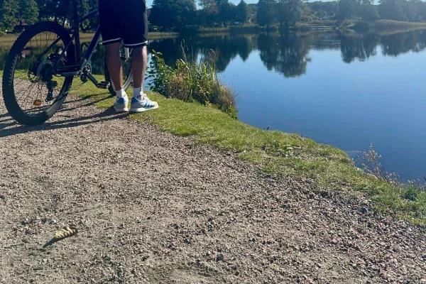 Göteborg: Privat cykeltur i Alingsås med lunch