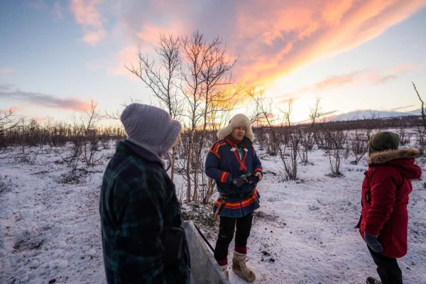 Abisko: Arktiskt morgonljus – samekultur och renar.