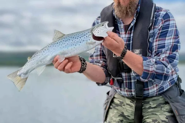 Kiruna: Lapplands fisketur med guide, utrustning och lunch