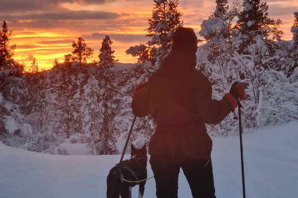 Kiruna: Tur med snöskor i liten grupp med fika