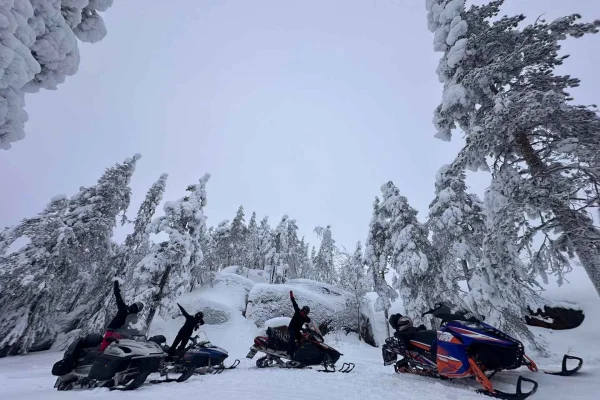 Luleå: tur med husky, snöskoter och fiske med måltid