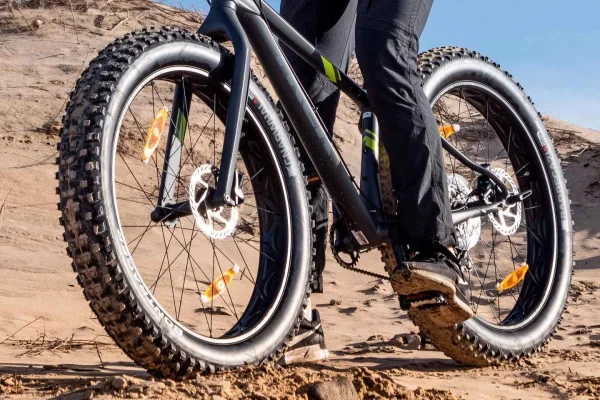 Halmstad: Guidad fatbiketur till Tylösand