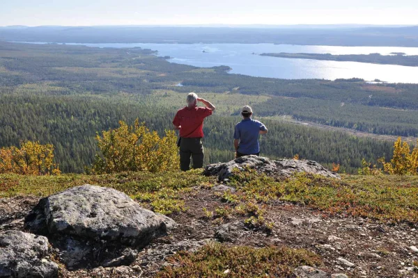Vindelfjällens naturreservat: En vandring genom renarnas land