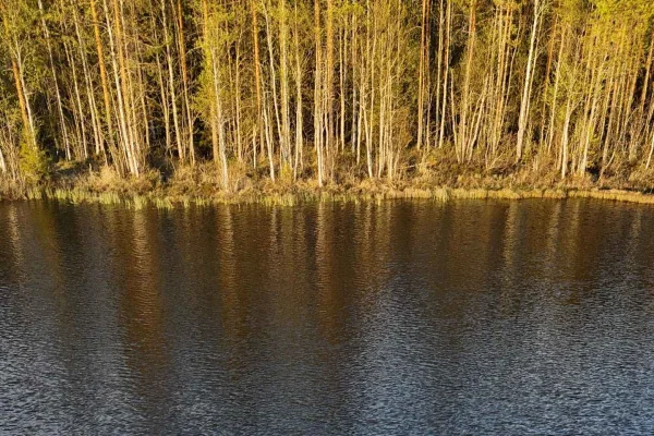 Överkalix: Halvdag med guidad kajakpaddling i Lappland och fika
