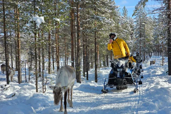 Norrbotten: Snöskotersafari genom den svenska vildmarken