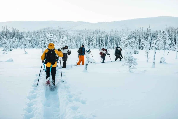 Fulufjällets nationalpark – Guidad vandring med matlagning utomhus