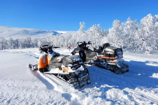 Svenska Lappland: Snöskotersafari