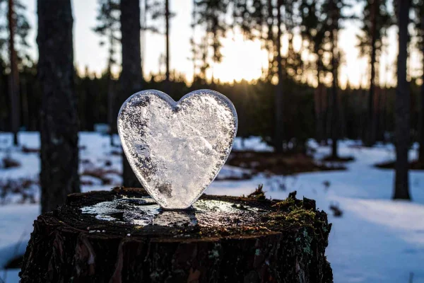 Kiruna: Isskulpturkonst och lunch i den arktiska vildmarken