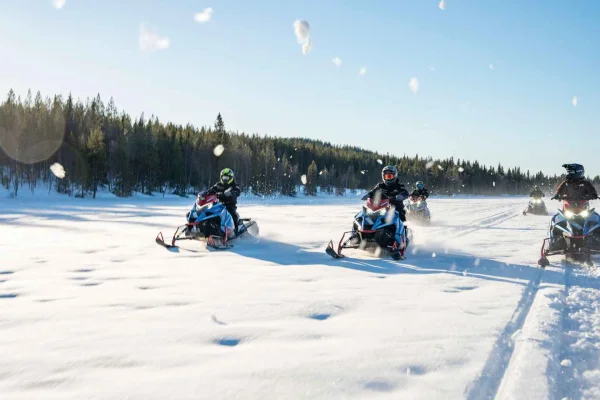 Arvidsjaur: 5 timmars guidad snöskoteräventyr