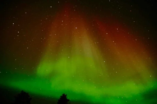 Luleå: Norrskensjakt med upphämtning vid hotell och lägereld