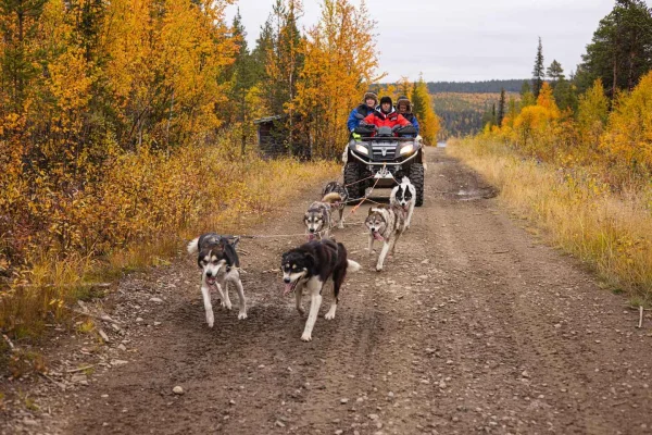 Kiruna: ATV-tur med hundar