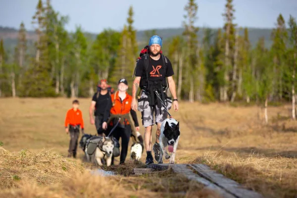 Bakvattnet: Huskytrekking på Ansättenfjäll