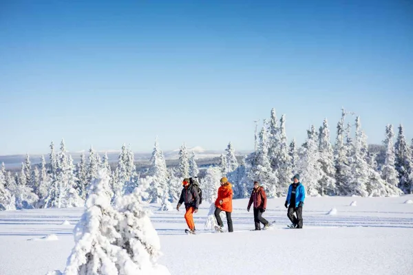 Bakvattnet: Snöskovandring på Ansättenfjäll