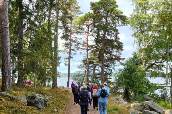Stockholm: Forntida Sverige, skogspromenad och fika i Görväln