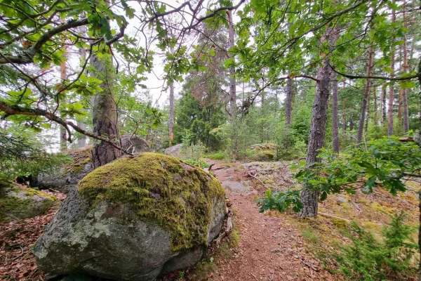 Stockholm: Forntida Sverige, skogspromenad och fika i Görväln