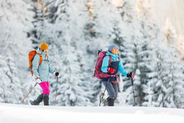 Från Abisko: Arktisk vandring till en sameby