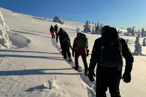 Svenska Lappland Snöskovandring
