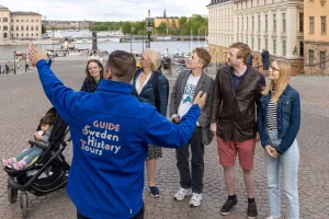 8-timmars tur till Vasamuseet, Kungliga slottet och Stadshuset med biljetter