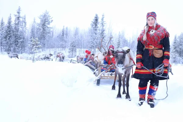 Kiruna: Aurorajakt med renkärra och samisk middag