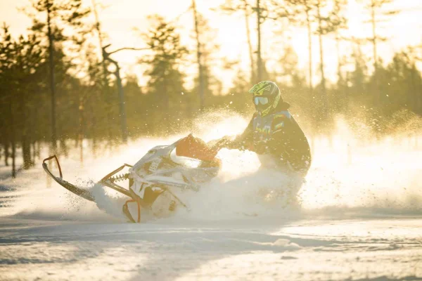 Arvidsjaur: 3 timmars guidad snöskoterresa