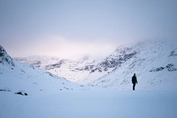 Arktisk vildmarkssnöskor-expedition
