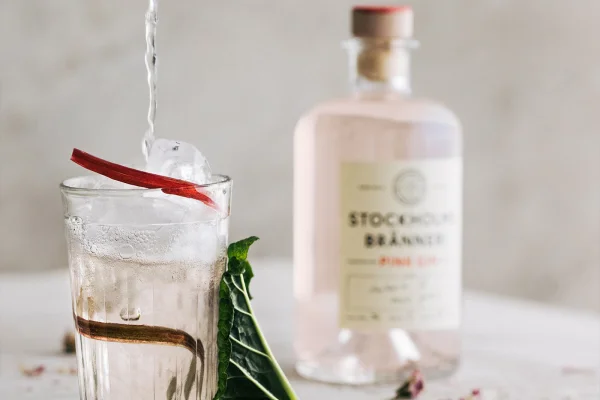 Gin & Tonic Workshop Stockholms Bränneri för två