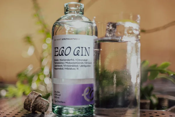 Ginprovning