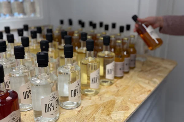 Gör egen gin för två