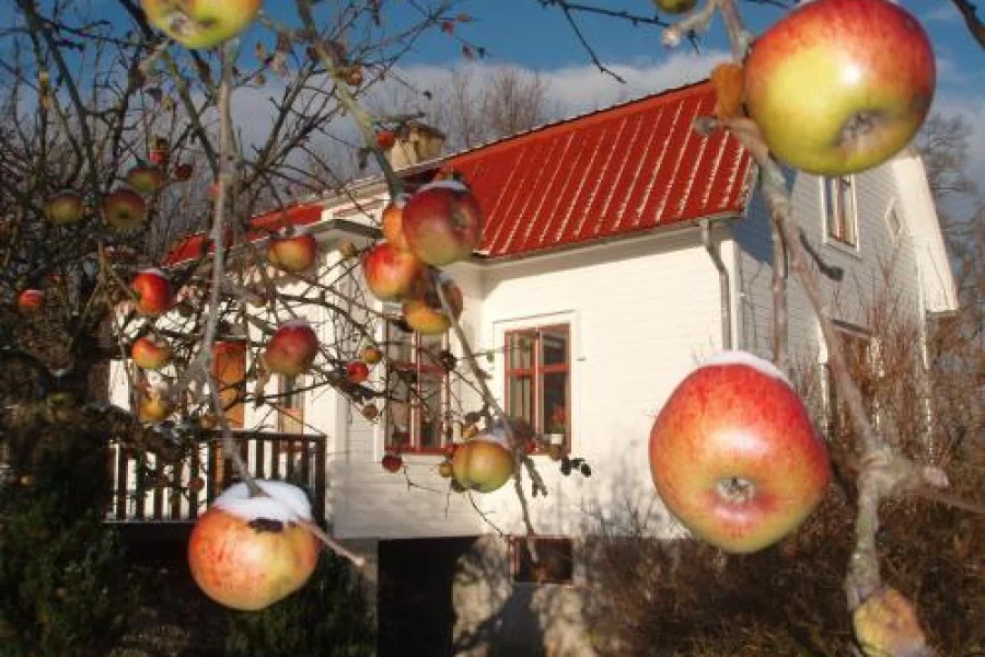 Mellangården i Äpplerum