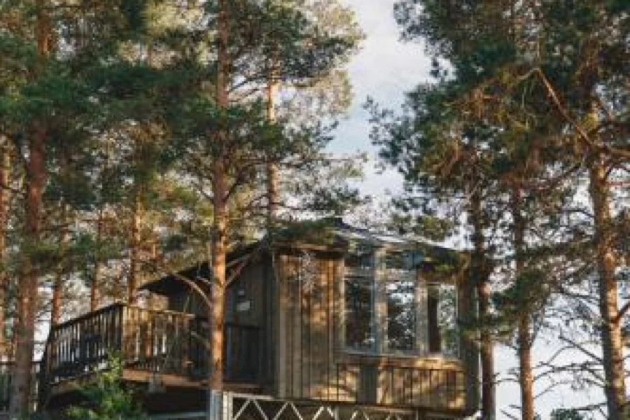 Granö Beckasin