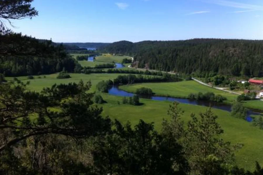 KynnefjällsNatur