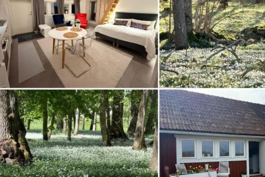 Kinnekulle bed & breakfast