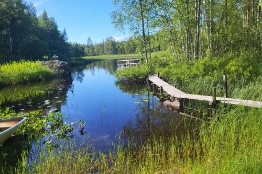 Det lilla ovanliga boendet mitt i skogen